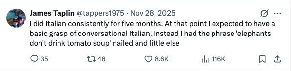 A social media post about studying Italian for five months but only remembering the phrase elephants don't drink tomato soup